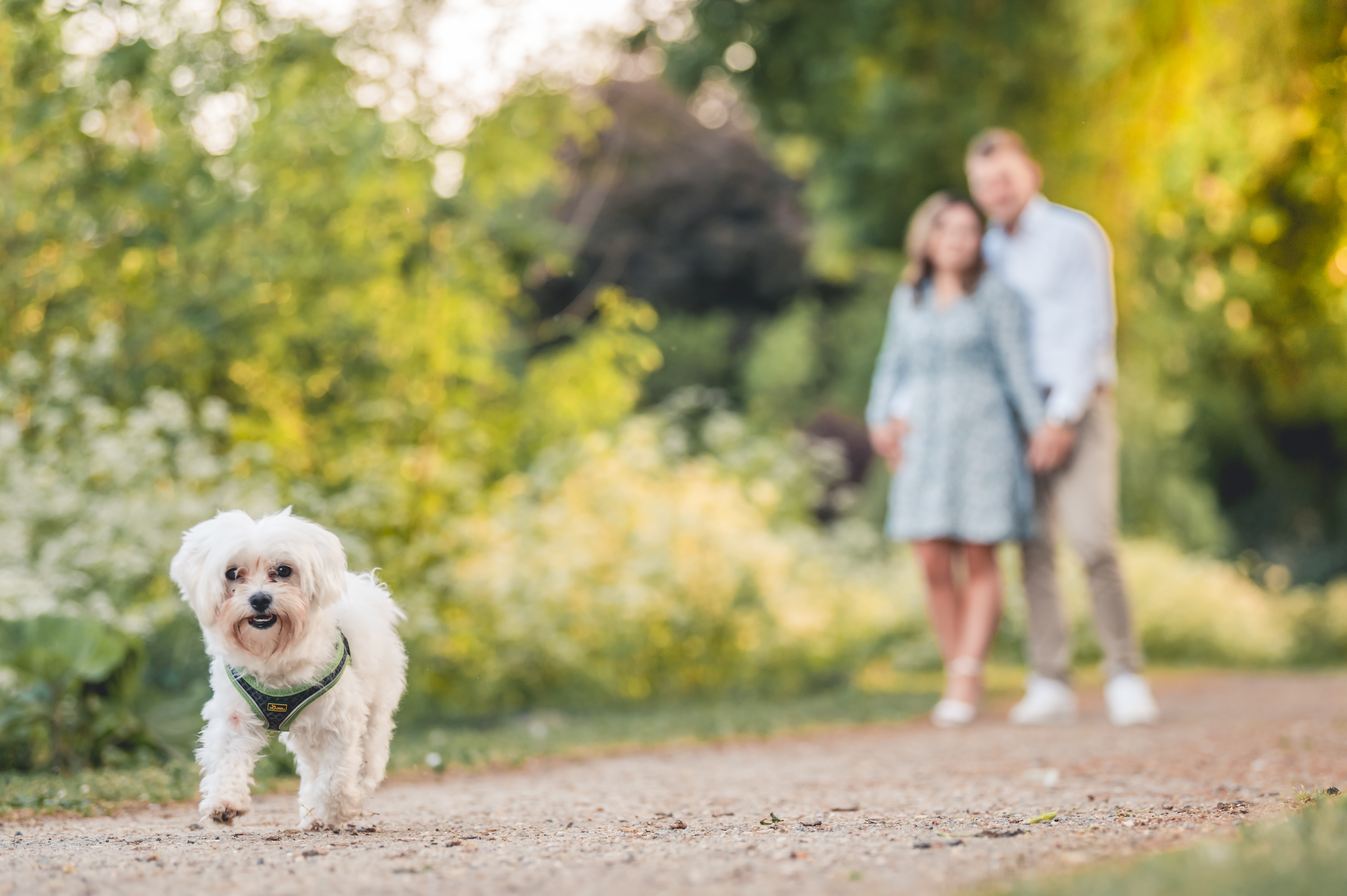 Kennenlernshooting Bild 7
