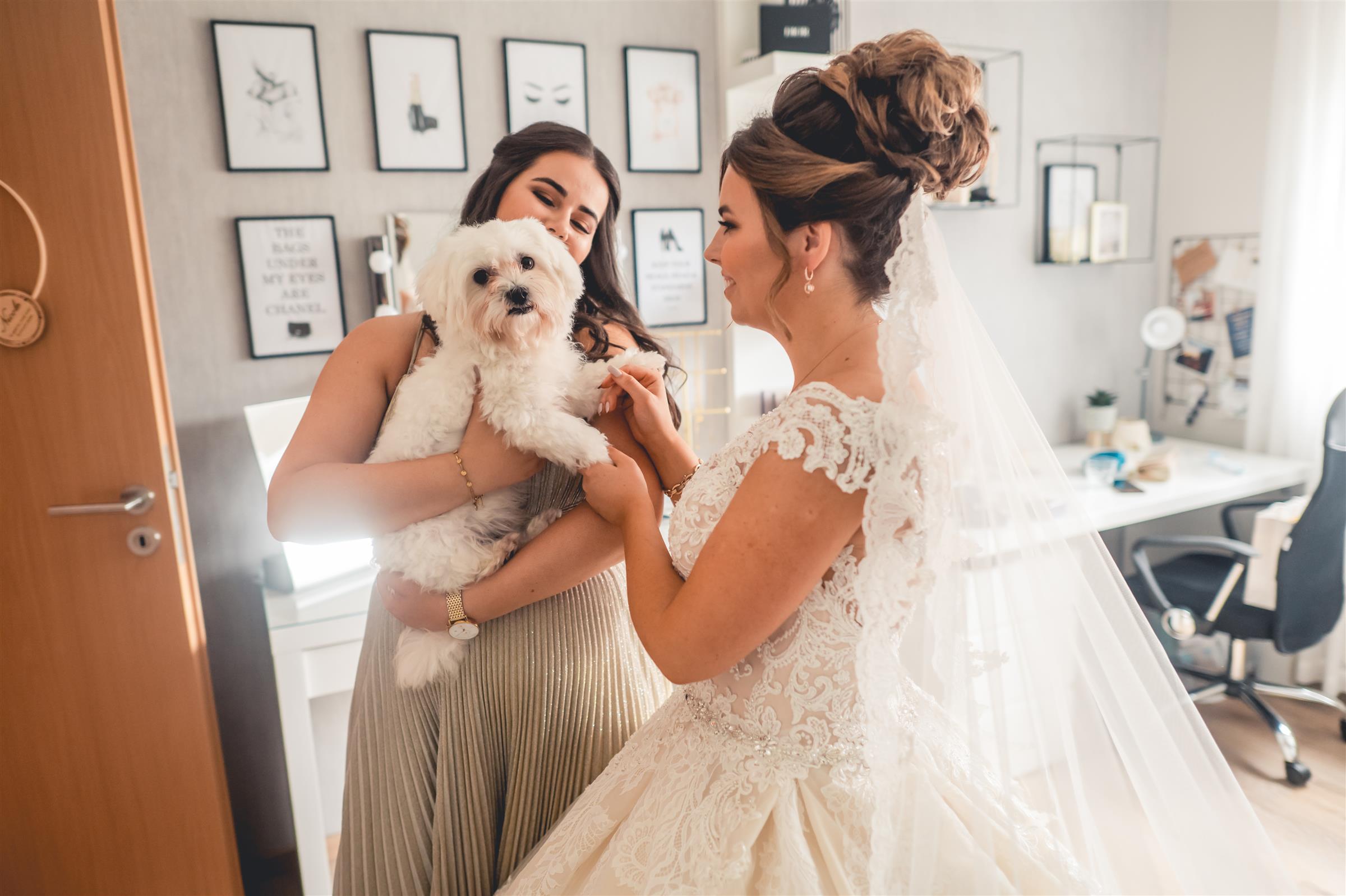 Komplette Hochzeit Bild 20